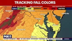 Mild, sunny Thursday ahead of cooler Friday temperatures