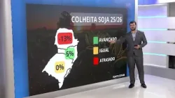 Meteorologista atualiza as condições do tempo nas áreas produtoras de soja