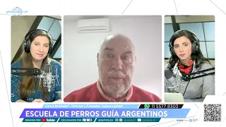 Los perros guía: más que un acompañante en la discapacidad