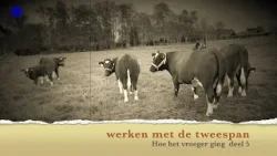 Hoe het vroeger ging afl 05 Werken met de Tweespan Gemert door Andre van Bussel Hoe het vroeger ging afl 05 Werken met de Tweespan Gemert door Andre van Bussel