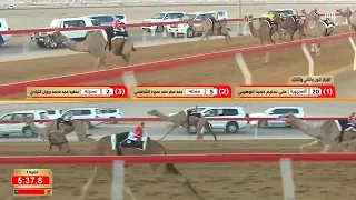 مهرجان العين لسباقات الهجن | 17 سبتمبر 2026