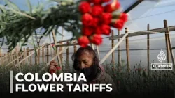 US tariffs on Colombian goods : Trump's taxes may cause job cuts in flower industry