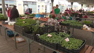 15. napirendi pont - Piacfejlesztés