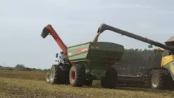 Colheita de soja avança rápido no RS e já alcança 23% da área plantada | Giro de Notícias