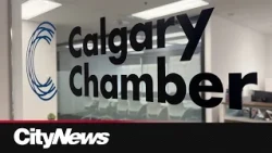 Alberta’s economy dependent on immigrant workers: Calgary Chamber of Commerce