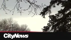 Calgary warm weather spell expected to last until mid-week Calgary warm weather spell expected to last until mid-week