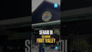 SEHARI DI SELANGOR FRUIT VALLEY