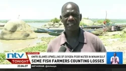 About 24,000 caged fish die at Kabudho beach, Seme