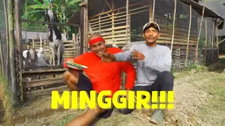 Tantangan Si Botak Makan Azolla dan Mencari Bembulung | JEJAK SI GUNDUL (13/08/26) P2
