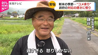 【コメ】政府の"買い戻し"の遅れに農家憤り 価格下落で続く苦境　鳥取・島根　NNNセレクション