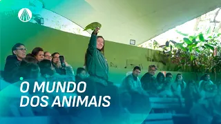 Bastidores do Zoológico de São Paulo: cuidados e conservação animal  | Viva a Tarde