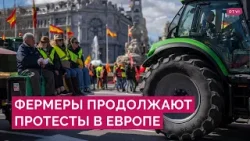 Горящие покрышки, стычки с полицией, тракторы на улицах: как в Европе протестуют фермеры