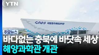 바다 없는 충북에 바닷속 세상...해양과학관 개관 / YTN