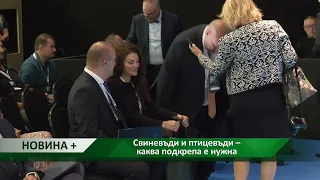 Новина плюс: Тодор Джиков за предизвикателствата пред свиневъдството и птицевъдството