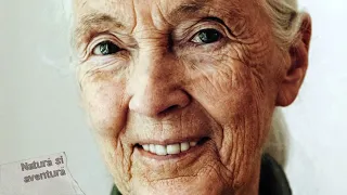 Natură şi aventură: In memoriam Jude Goodall – călătorie în Tanzania | episodul 4 (@TVR2)