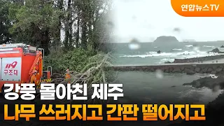 Jeju Hit by Strong Winds... Trees Down and Signs Falling / YonhapnewsTV