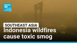 Indonesia's forest fires spark public health crisis across Southeast Asia • FRANCE 24 English