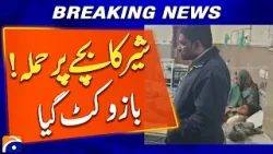 Child Injured in Lion Attack; Arm Severely Hurt - Breaking News