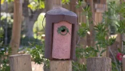 Informativo Fuengirola Televisión 20-02-2026