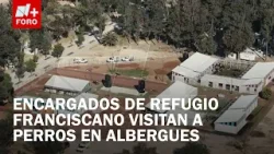Miembros del Refugio Franciscano visitan a perros rescatados - Expreso de la Mañana