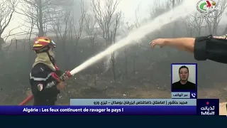 Madjid Hachour :Pourquoi l'État ne se prépare-t-il pas à l'avance aux feux de forêt ?