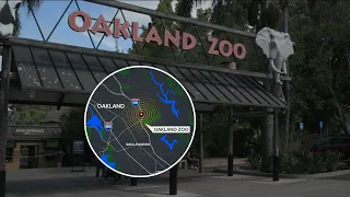 Animals at Oakland Zoo react to 3.8 earthquake that shook Bay Area