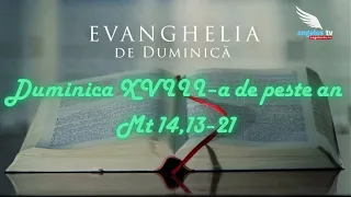 SUNDAY GOSPEL - 18th Sunday in Ordinary Time