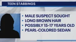 Northridge teen stabbings: Young suspect on the run