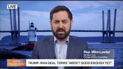 «Надежда демократов — это не стратегия», — заявил конгрессмен Лоулер.