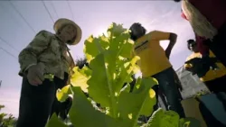 From Garden to Table: Growing in a food desert