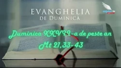 SUNDAY GOSPEL - 27th Sunday in Ordinary Time