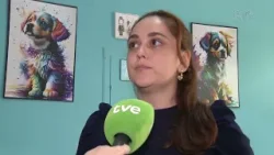 Nova lei exige gravação em pet shops de Porto Alegre