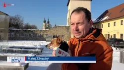 Bezplatná kastrácia mačiek na východe Slovenska