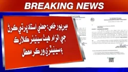 Mirpurkhas: Jaali Ustad Bharti Karn Je Ilzaam Het Senior Clerk Ain Sanitary Worker Muattal