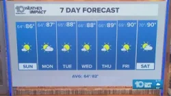 10. Погода в Тампа-Бэй: прогноз на вечер субботы | 11 апреля 2026 г.