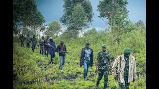 ALERTE INFO : REMEKA LIBÉRÉE ! LES WAZALENDO METTENT EN DÉROUTE LE M23-AFC/RDF DANS LE MASISI