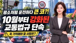 당장 운전 습관부터 바꾸세요! 10월 단속 강화된 교통법규 & 음주운전 사전 예방 제도 총정리