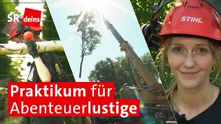 Häckseln, Sägen, Tischlern: SR-Sommerpraktikum 2026 bei den Baumhelden