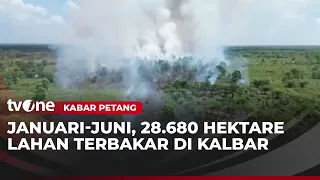 Worst Forest and Land Fires in Indonesia Occur in West Kalimantan | Evening News