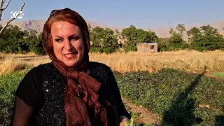 سەوزەی کێڵگە و بیستانەکانی روانسەر خواستێکی زۆری لەسەرە