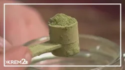 В стране участились случаи отравления кратомом.