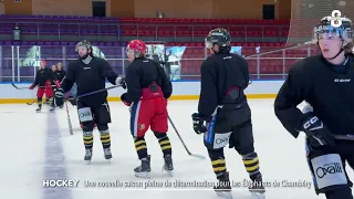 A New Season Full of Determination for the Chambéry Éléphants