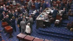 Сенат утвердил Марквейна Маллина на посту главы Министерства внутренней безопасности на фоне обос...