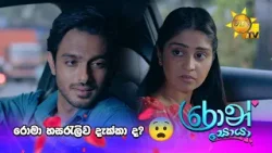 රොමා හසරැලිව දැක්කා ද? ?