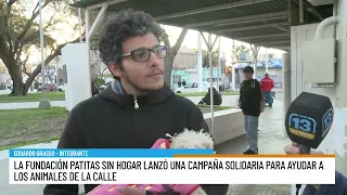 Recolectan abrigos para que los perros y gatos callejeros no mueran de frío