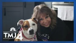 Быстрорастущая организация по сбору корма для домашних животных ежегодно жертвует 25 000 фунтов к...