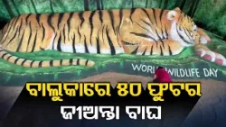World Wildlife Day: Sand artist Sudarshan Pattnaik creates a 50-foot tall tiger sculpture