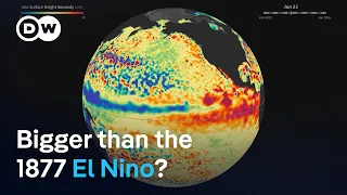 A historic El Nino is forming. Here's why scientists are worried | DW News