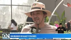 De Ruta por Bucaramanga: Descubre el mágico mundo de las mariposas