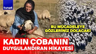 "Yapamazsın" dediler: Doğu'nun kadın çobanının mücadelesini görün!